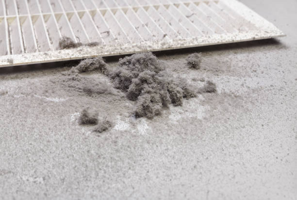 Best Emergency Air Duct Cleaning  in St Martins, MO