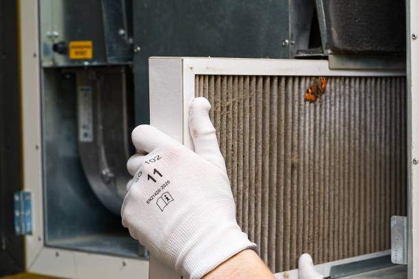 Best Air Duct Cleaning Near Me  in St Martins, MO