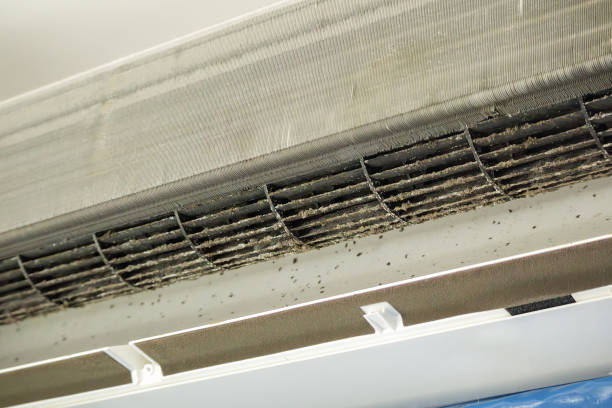 Best Affordable HVAC Duct Cleaning  in St Martins, MO